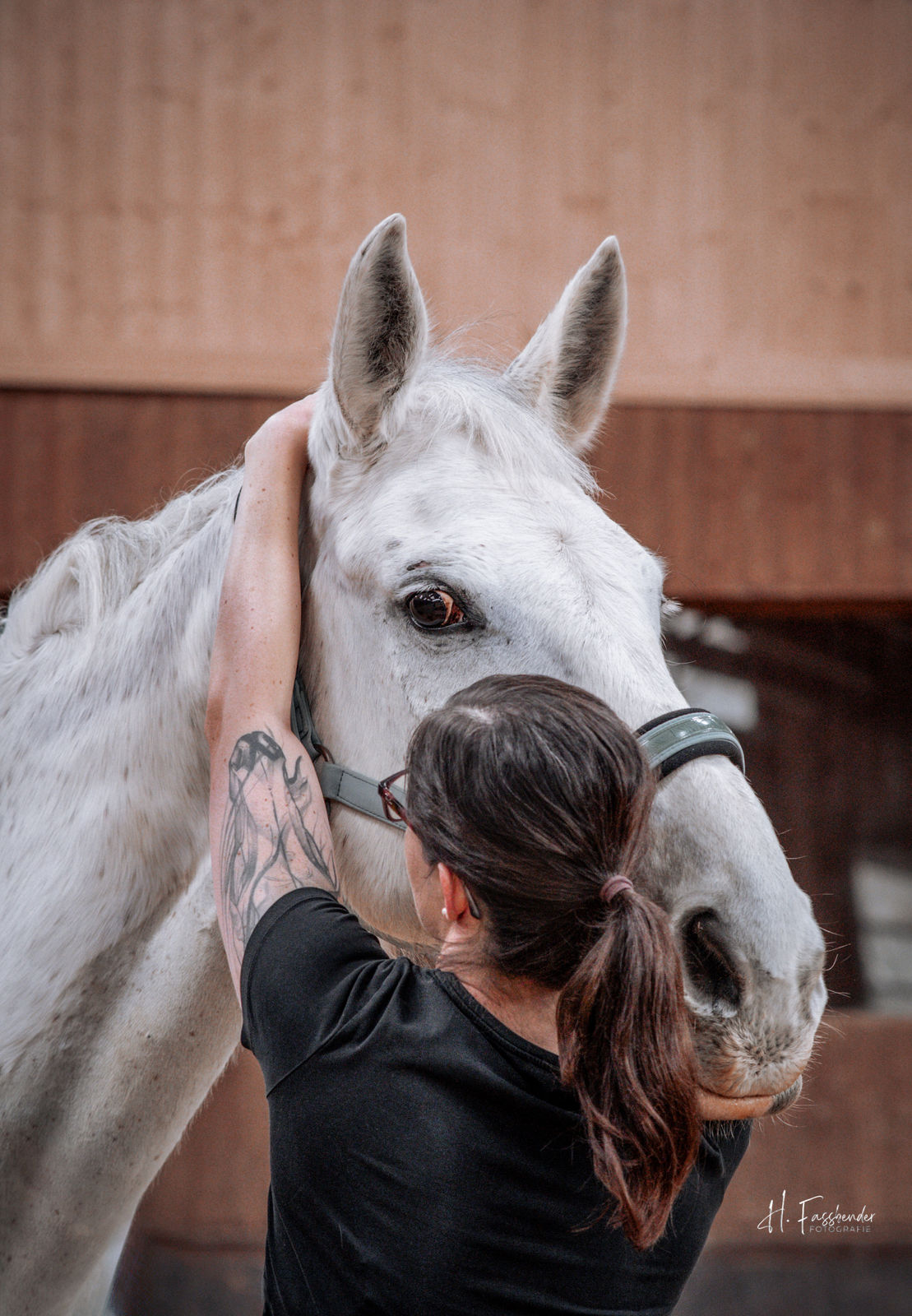 Tierärztliche Praxis für Chiropraktik und Akupunktur - Carolin Lauck